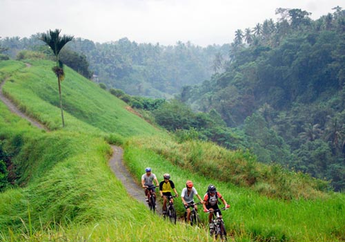 Kintamani Bali Cycling - Bali Cycling Tours