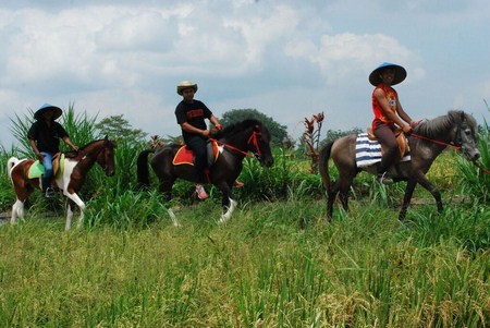 Ubud Horse Riding - Bali Fun Activities