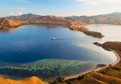 One Day Tour Komodo Package - Komodo Trips - Komodo National Park